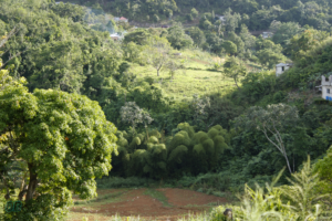 Sinkhole or Depression at Walderston Manchester Jamaica