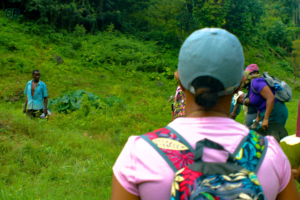 Hiking to Morgan's Pond Hole, Jamaica