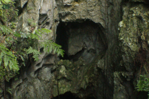 Morgan's Pond Hole