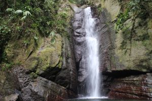 Falling Edge Waterfall